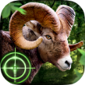 荒野猎人游戏安卓版 v1.0.0