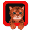小猫模拟器安卓官方版游戏 v1.1