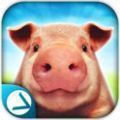 骚猪模拟游戏