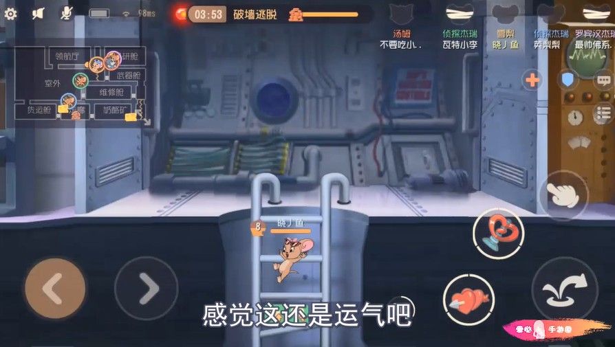 猫和老鼠：雪梨初试铂金单排，队友配合如此犀利？汤姆输的不亏[视频][多图]图片2