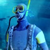 筏生存水肺潜水3D破解版