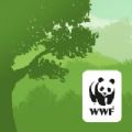 WWF森林安卓版
