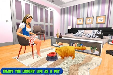 家庭宠物猫模拟器游戏汉化中文版图片2
