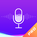 百变变声器pro app