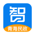 青海社会救助平台软件