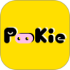 Pookie扑奇潮玩盲盒app