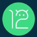 Android 12 beta 3.1系统