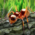 昆虫世界生存指南游戏