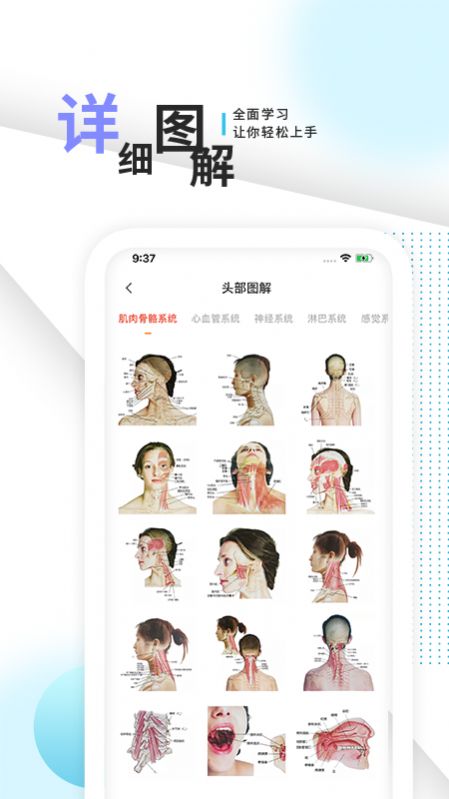 人体解剖学习app官方版图片1