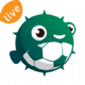 河豚直播体育app下载官方版