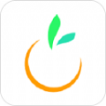 橙宝网app下载安装