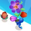 Flower Run游戏