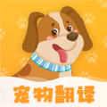 波奇猫语交流器app