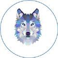 Wolf Network APP