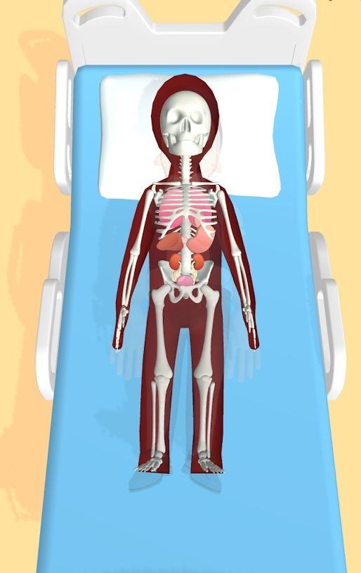 合并器官3D游戏官方版（Merge Organ 3D）图片1