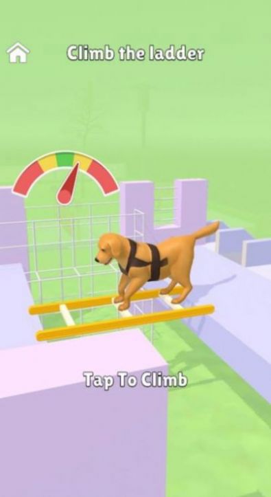 兴奋的狗狗训练游戏安卓版图4: