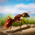 蚂蚁向前冲游戏