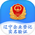 辽宁企业登记实名验证app下载官方版