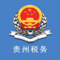 贵州税务网上申报app