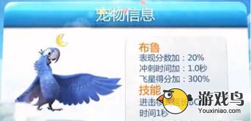 《天天酷跑》新版本宠物 蓝鸟布鲁属性技能介绍[图]图片1