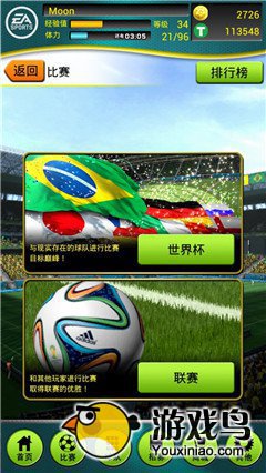 FIFA2014巴西世界杯攻略 FIFA2014巴西世界杯阵介绍图片1