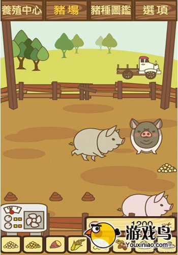 养猪场游戏评测  肥猪是怎么炼成的[多图]图片2