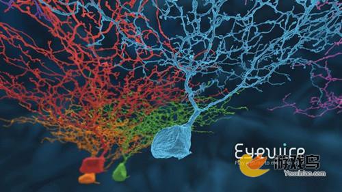 手游和医学的关系 EyeWire为神经元画图像[多图]图片2