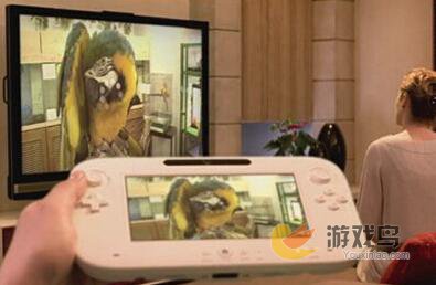 任天堂Wii屡遭控诉 联邦法院驳回无理控告[图]图片1