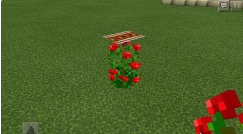 我的世界手机版悬浮轨道怎么做 玫瑰代替方块[多图]图片3