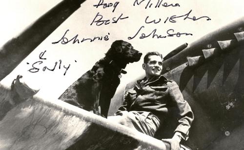 战争手游《浴血长空》二战史上的著名飞行员[多图]图片4