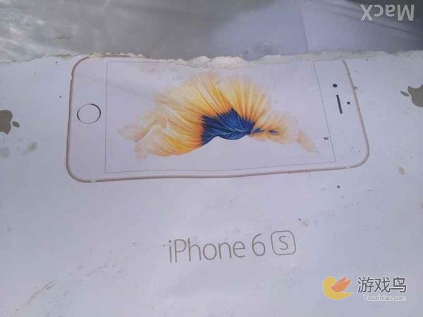 iPhone 6s包装盒曝光 惊现玫瑰金版本[多图]图片1