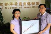 中国发现世界最长昆虫新物种 刷新了世界纪录[图]