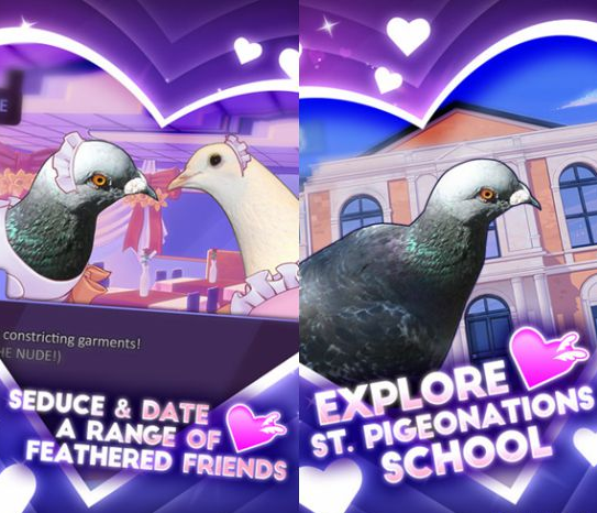 与帅气鸽子谈恋爱 《鸽子男友》上架双平台图片1