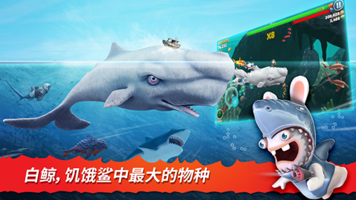 深海惊魂 《饥饿鲨：进化》终极掠食者震撼登场[多图]图片2