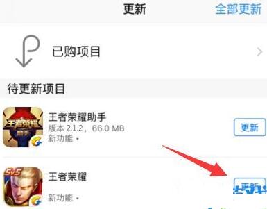 王者荣耀iOS版12月13日无法更新解决方法[图]图片1